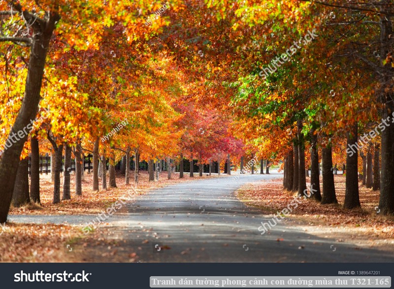 Tranh dán tường phong cảnh con đường mùa thu T321-165